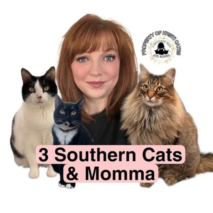 3 Southern Cats and Momma™ net worth, income and estimated earnings of Youtuber channel