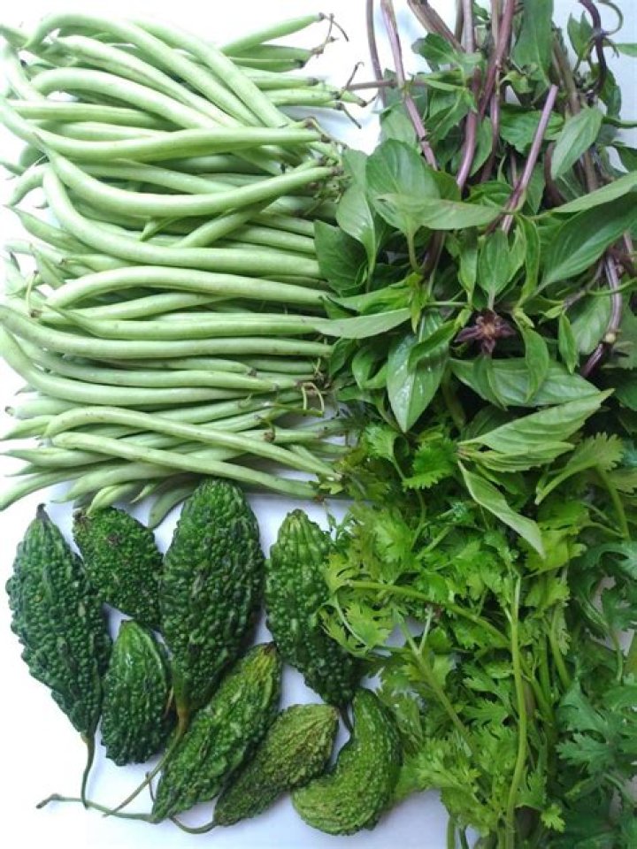 A Discovery of Witches Star Teresa Palmer Shares Swimsuit Photo of “Wild Day”