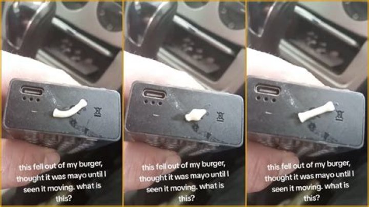 ‘A half tapeworm, a trip to the ER, and a million dollar paycheck’: Man discovering a wriggling worm in his burger is a lawsuit waiting to happen