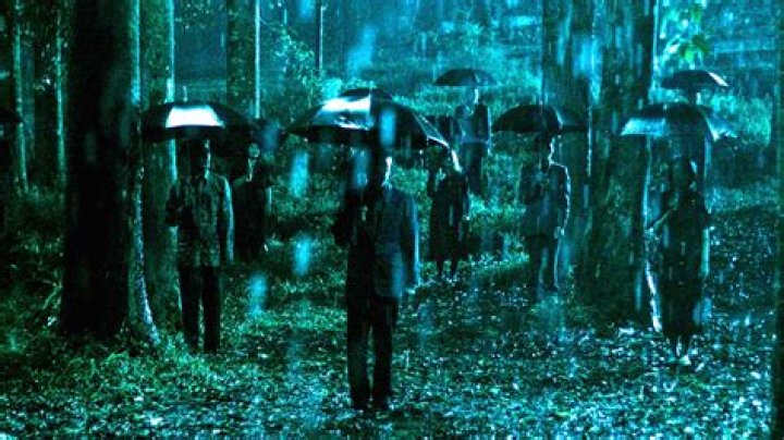 An international Gothic horror sensation creates a cult of Disney Plus devotees