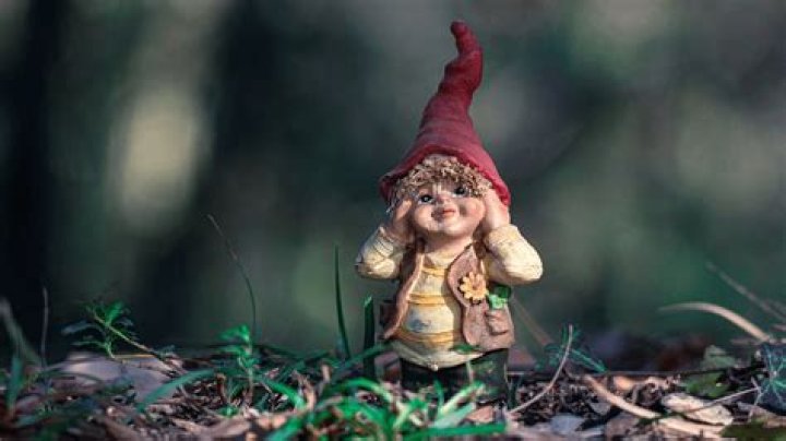 Are gnomes evil or good? – Celebrity