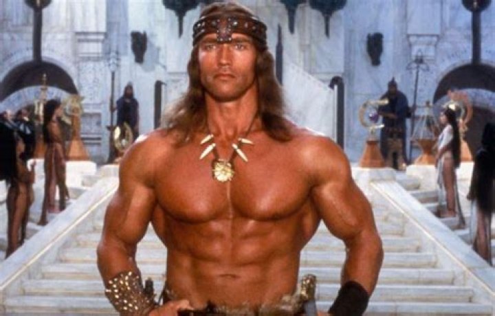 Arnold Schwarzenegger Wants An Old Man Conan Movie