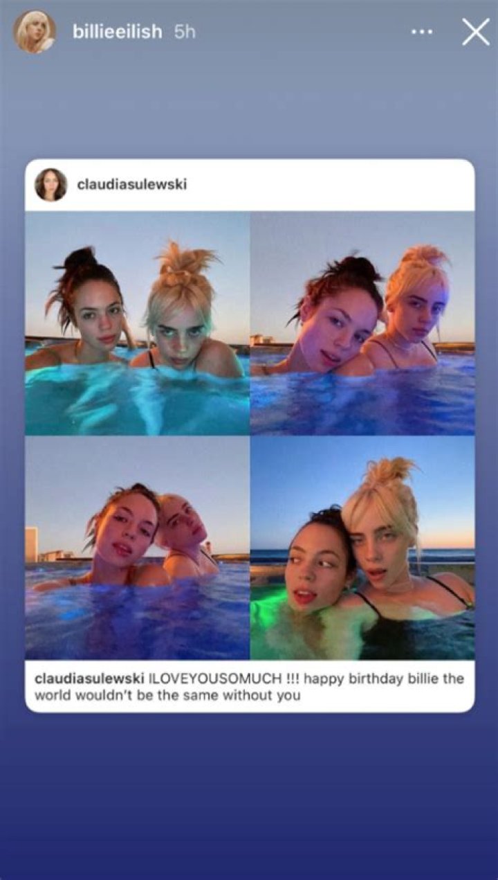 Billie Eilish in Bathing Suit Says Hi From Infinity Pool — Celebwell