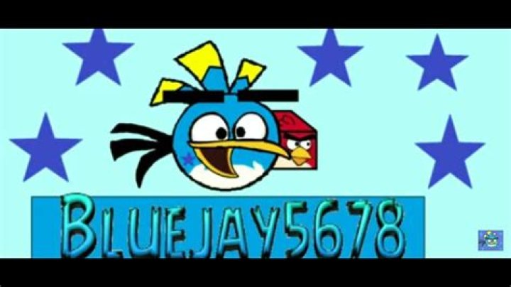 Bluejay5678 net ღირებულება და სავარაუდო მოგება Youtuber არხი
