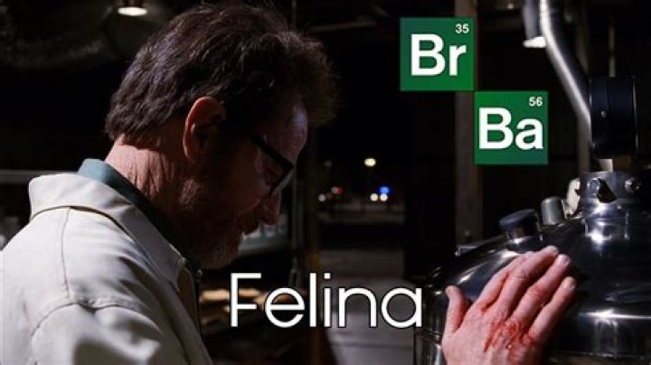 Breaking Bad Series Finale Review: “Felina” (Season 5, Episode 16)