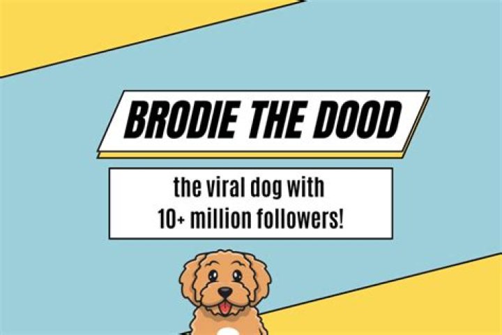 Brodie That Dood video statistics