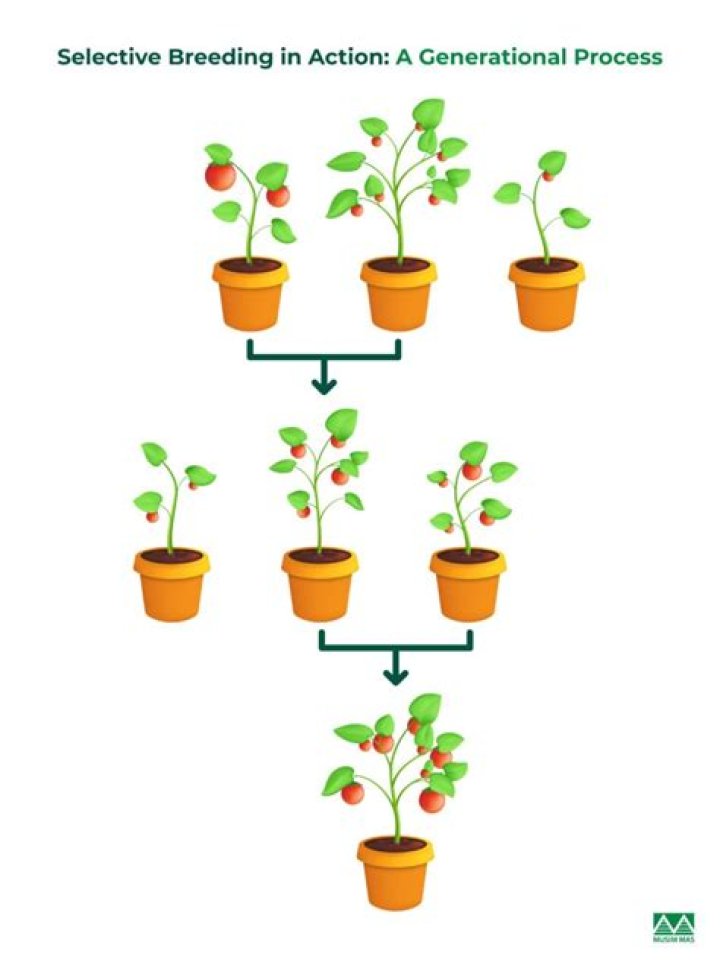 Bryan Breeding - Bio, Facts, Family Life of Singer