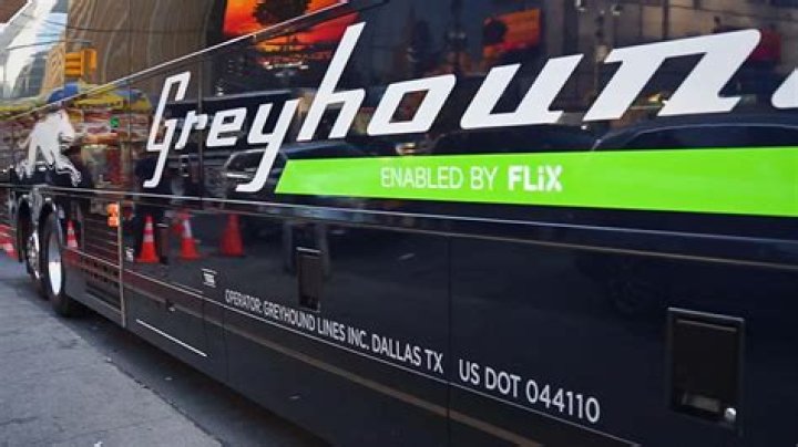 Can You Drink Alcohol On Greyhound Bus? – Celebrity
