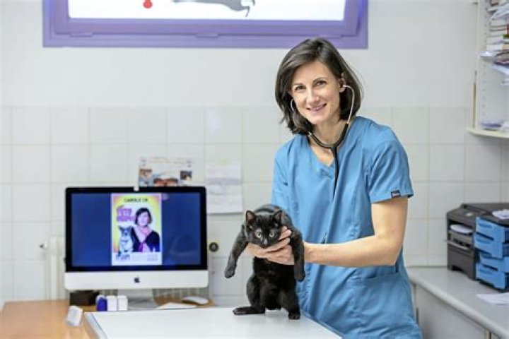 Carole Mcgrath Obituary Veterinaire Shippagan NB