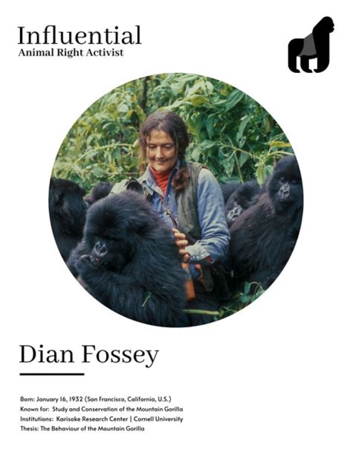 Dian Fossey Biography - Facts, Childhood, Family Life & Achievements of Zoologist
