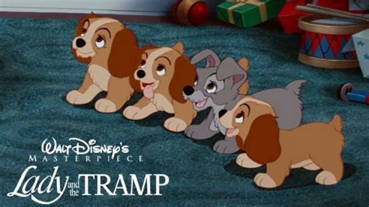 Do Lady and the Tramp have puppies? – Celebrity