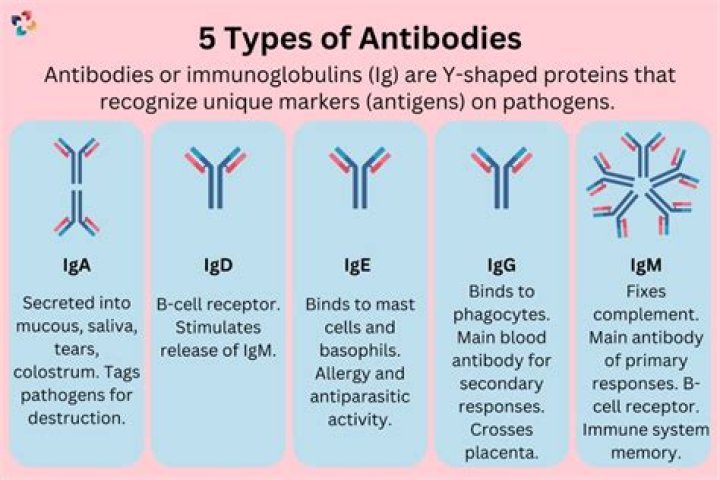 Does Iga Swiatek have a brother? Who is Iga Swiatek sister?