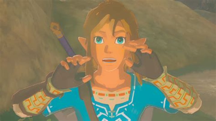 Evil ‘The Legend of Zelda: Tears of the Kingdom’ players have turned the game into a Korok torture machine