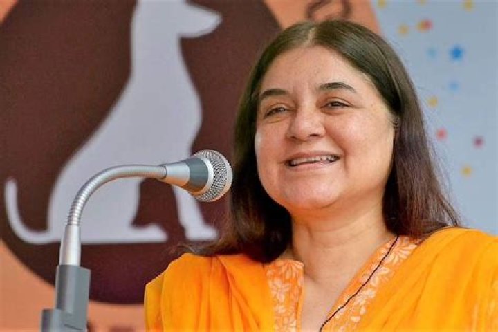 Famous Indian Women Activists