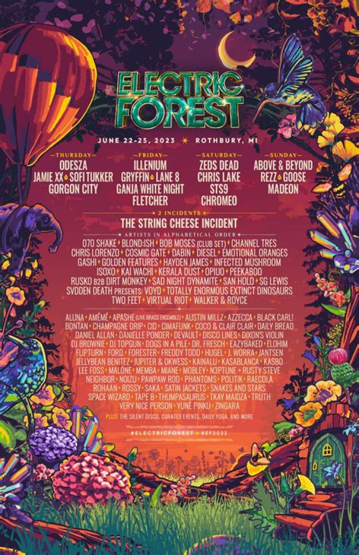 Flume And Dillon Francis Added To Electric Forest Lineup