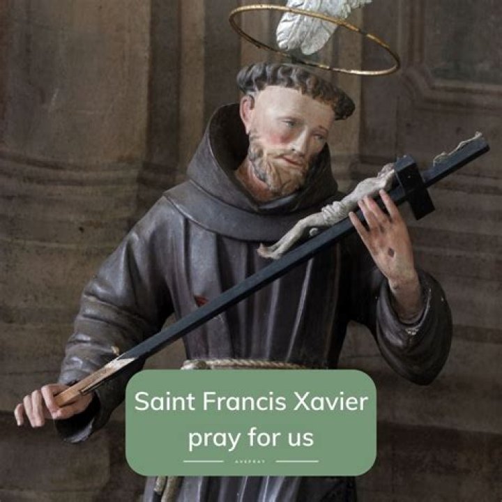 Francis Xavier Biography - Facts, Childhood, Family Life & Achievements