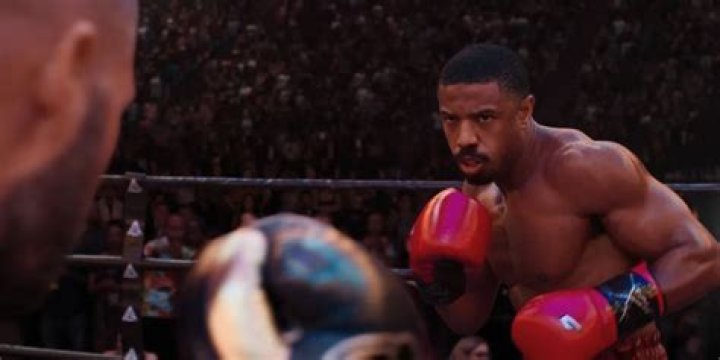 How Many Fights Did Floyd Lost? – Celebrity