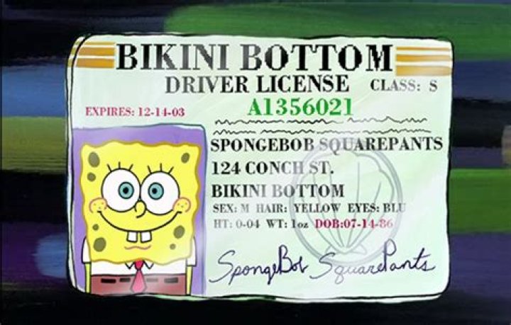 How old is SpongeBob SquarePants and does he ever age?