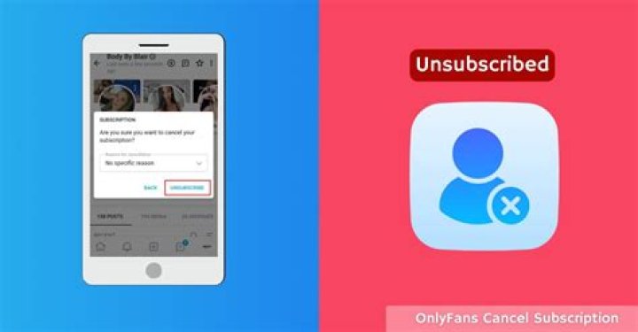 How to cancel Onlyfans Subscription 2023? Problem Fixed