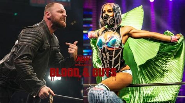 Is Wwe Blood Real? – Celebrity