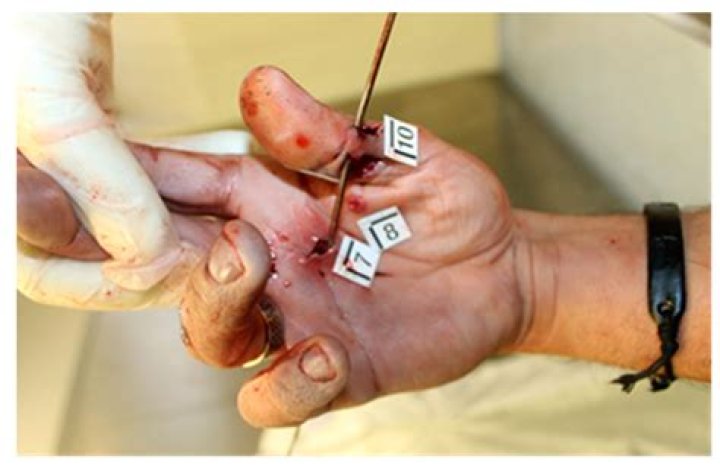 Jaycee Gray Trevin Accidentally Died in a Gunshot, Art teacher at Highland Junior High