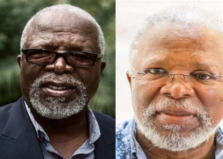 John Kani - Bio, Facts, Family Life of South African Actor
