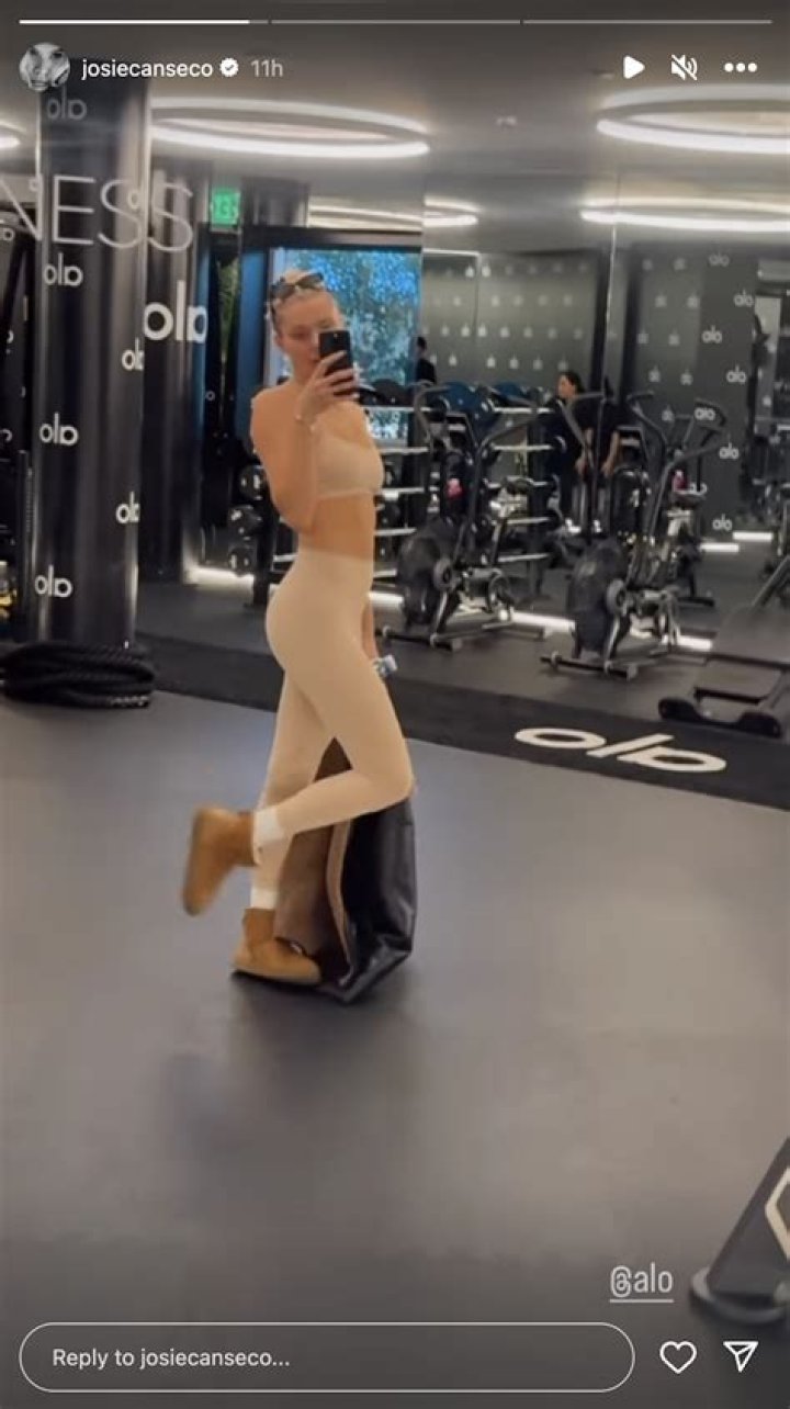 Josie Canseco in Two-Piece Workout Gear Shares Gym Mirror Selfie