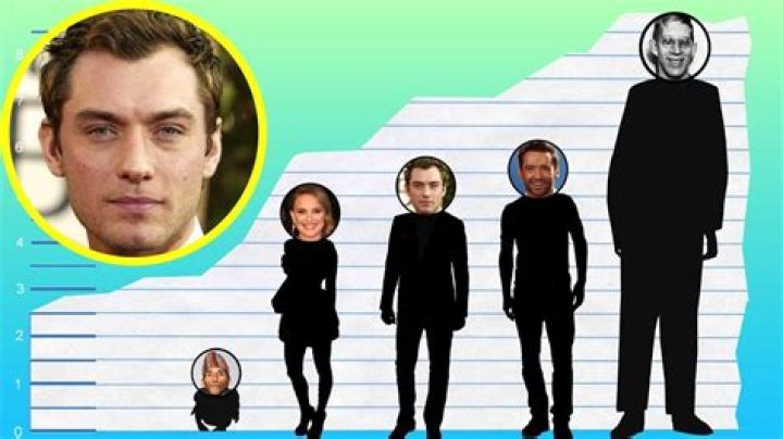 Jude Law – Height, Weight, Measurements & Bio