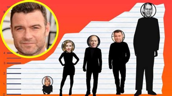 Liev Schreiber Height Weight Body Measurements Shoe Size Stats Facts