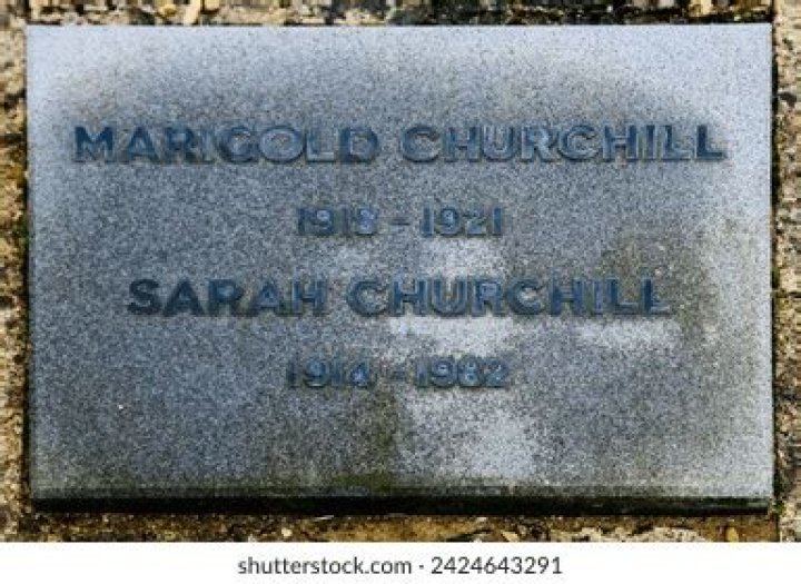 Marigold Churchill Biography - Facts, Childhood, Family Life & Achievements
