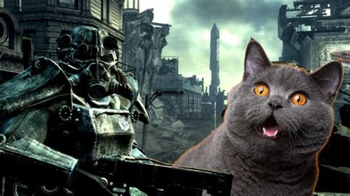 Mind-blowing fan theory explains how cats ended up in ‘Fallout’ post-apocalypse