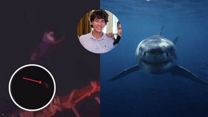 Missing Cameron Robbins Update; Sharks Were at Where Cameron Jumped Overboard (Video)