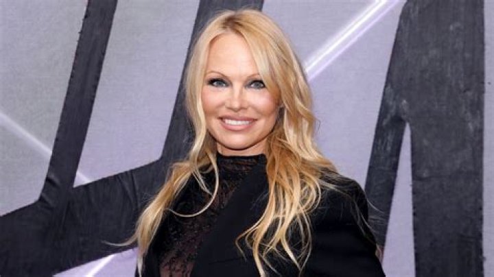Pamela Anderson Biography - Facts, Childhood, Family Life & Achievements