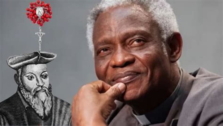 Peter Turkson Biography - Childhood, Life Achievements & Timeline