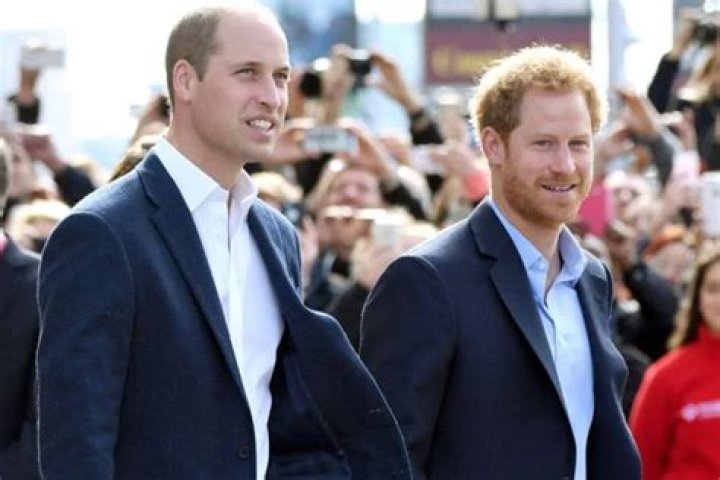Prince William And Prince Harry Wanted To Divide Their Households Over Rift, Not Meghan Markle And Kate Middleton