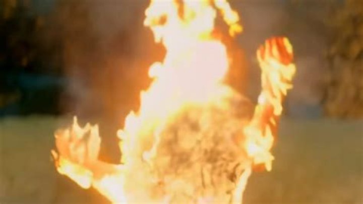 Showtime lets an audience adored vampire series burn in the sun after one season