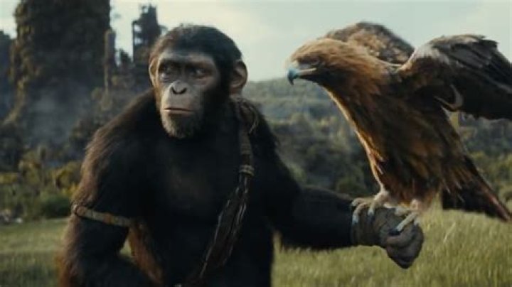 The best ‘Planet of the Apes’ watch order, explained