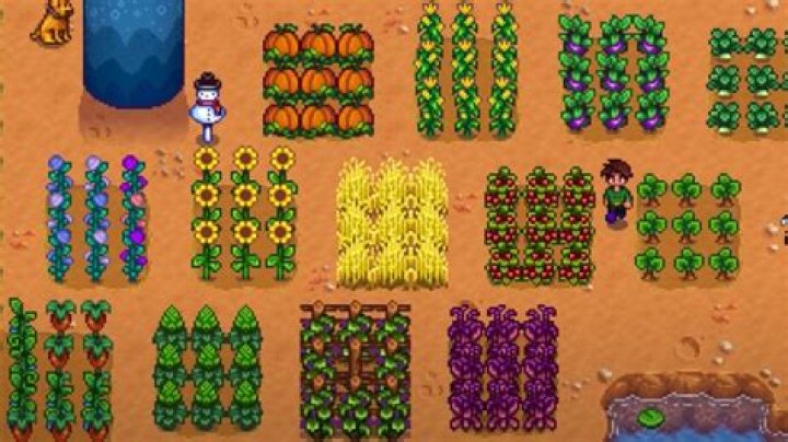 The very best crops in ‘Stardew Valley’