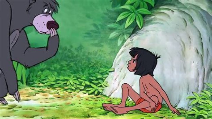 What does Baloo call Mowgli? – Celebrity
