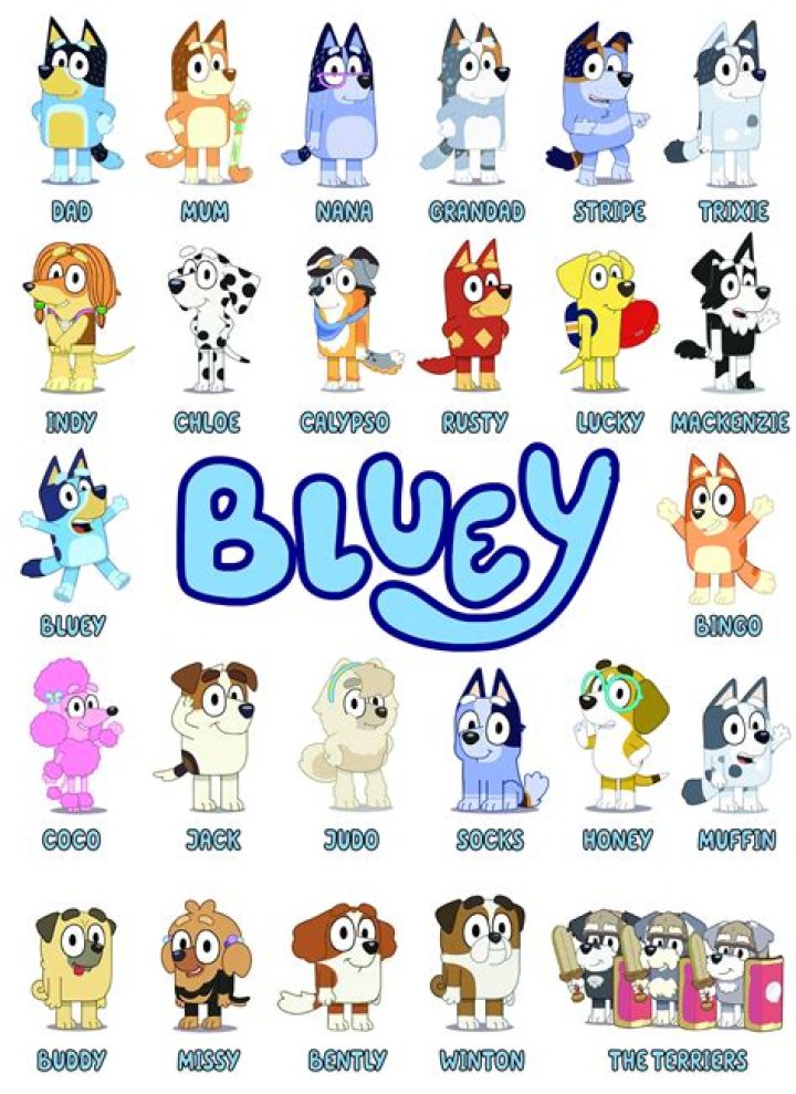 What Gender Is Bluey Bingo? – Celebrity