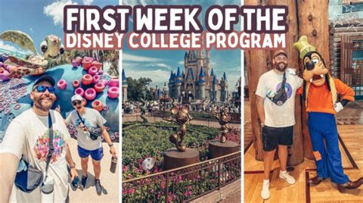 What GPA is required for Disney college program? – Celebrity