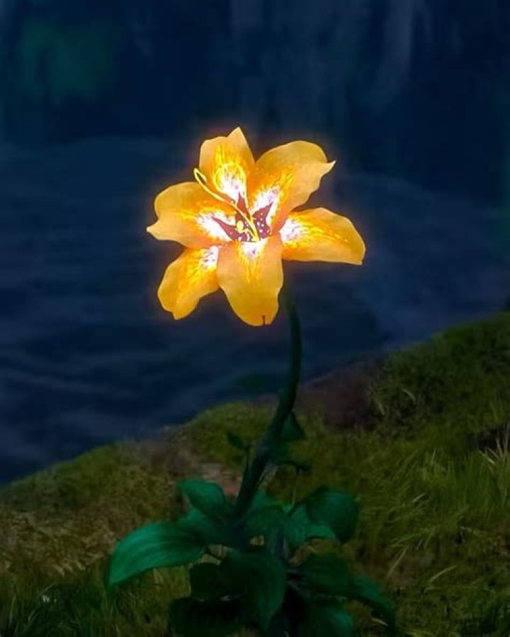 What happened to the magic flower in Tangled? – Celebrity