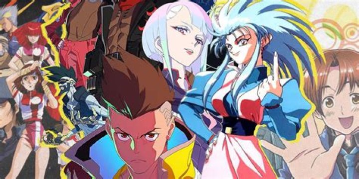 What is an OVA in anime?