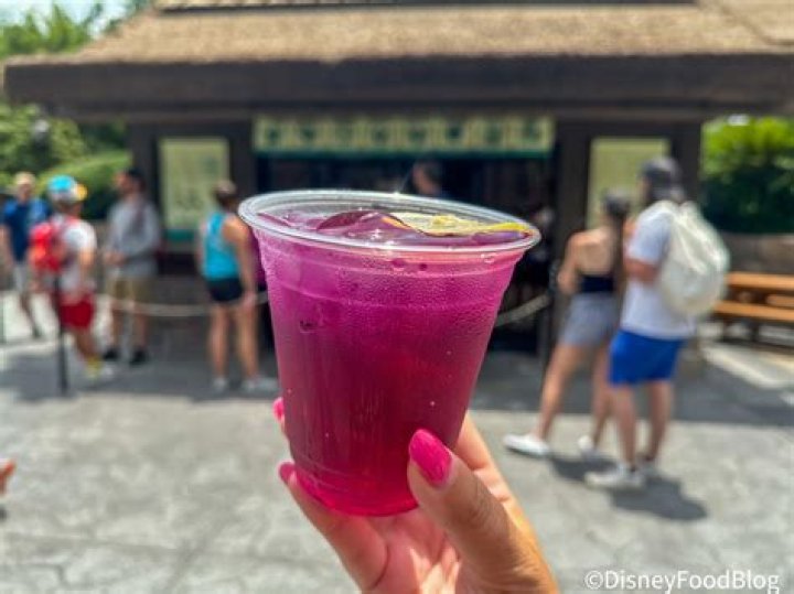 What is the Beverly drink at EPCOT? – Celebrity