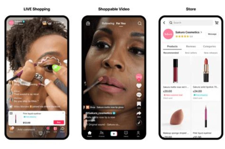 What is the TikTok Vote Tracker? Answered and explained