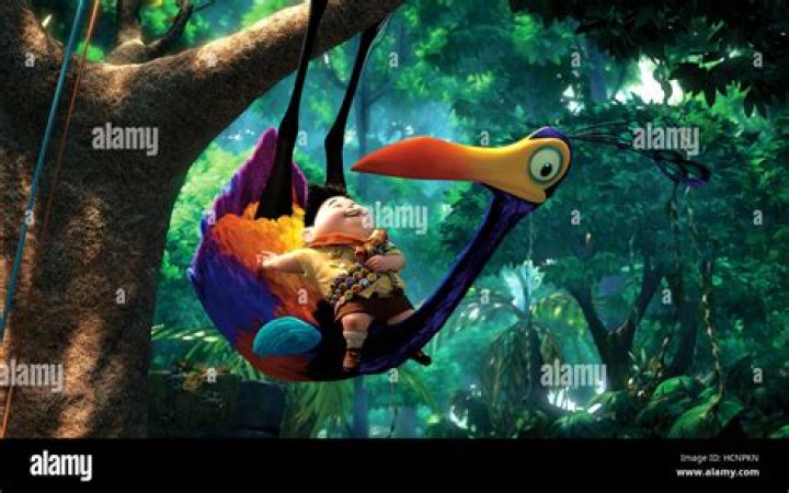 What kind of bird is Kevin from Up? – Celebrity