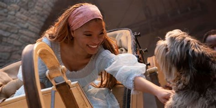 What kind of dog is Max in The Little Mermaid? – Celebrity