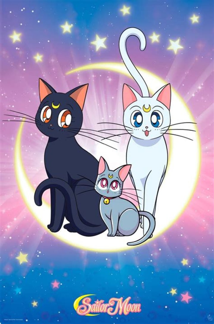 What’s the cats name in Sailor Moon? – Celebrity