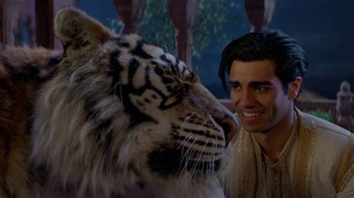 What’s the tiger in Aladdin called? – Celebrity