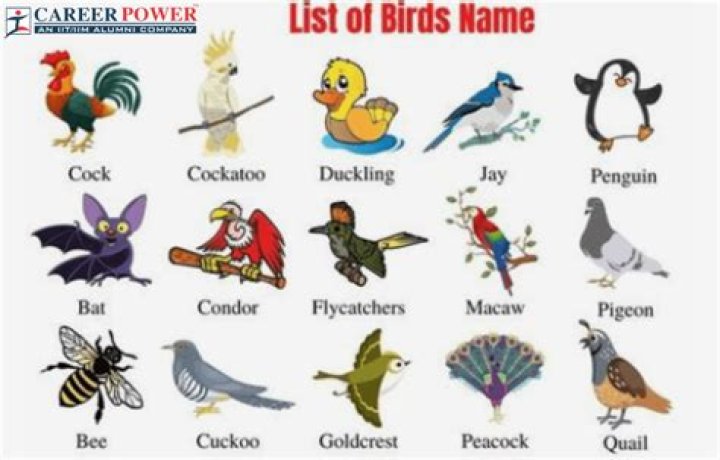 What Should I Name My Christmas Playlist? – Celebrity